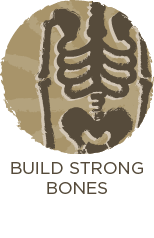  Build Strong Bones