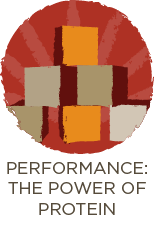  Performance: The Power Of Protein