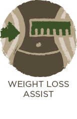  Weight Loss Assist